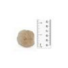 1.5 inch Beige Craft Pom Poms 50 Pieces - artcovecrafts.com