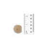 1 inch Beige Small Craft Pom Poms 100 Pieces - artcovecrafts.com