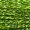 DMC 6 Strand Embroidery Floss Cotton Thread Bulk 906 Medium Parrot Green 8.7 Yards 12 Skeins