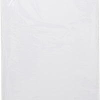 14 Mesh Count Clear Perforated Plastic Canvas 8.25" x 11" (2 Pieces)