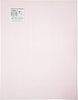 7 Mesh Count Pink Plastic Canvas Sheet 10.5 x 13.5 Inch 12 Sheets