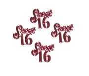 Fuchsia Miniature Acrylic Clear Sweet 16 Sign Charm Capias 24 Pieces