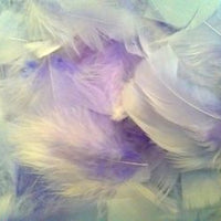 Lavender Fluff Marabo Craft Feathers 10.5 Grams