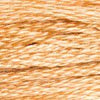 DMC 6 Strand Embroidery Floss Cotton Thread 437 Light Tan 8.7 Yards 1 Skein