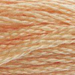 DMC 6 Strand Embroidery Floss Cotton Thread 3856 Ultra Very Lt Mahogany 8.7 Yards 1 Skein