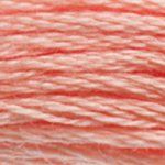 DMC 6 Strand Embroidery Floss Cotton Thread 3824 Light Apricot 8.7 Yards 1 Skein