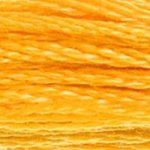 DMC 6 Strand Embroidery Floss Cotton Thread 742 Lt Tangerine 8.7 Yards 1 Skein