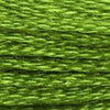 DMC 6 Strand Embroidery Floss Cotton Thread Bulk 905 Dk Parrot Green 8.7 Yards 12 Skeins