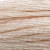 DMC 6 Strand Embroidery Floss Cotton Thread 543 Ultra Very Lt Beige Brown 8.7 Yards 1 Skein