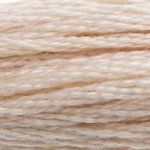 DMC 6 Strand Embroidery Floss Cotton Thread 543 Ultra Very Lt Beige Brown 8.7 Yards 1 Skein